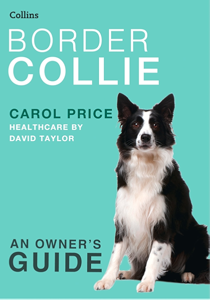 border collie owners guide