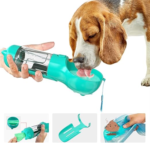 dog drinking bottled water dispenser