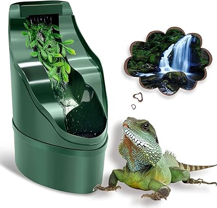 lizard habitat accessories