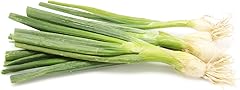 Green Onion (Scallions) Organic, 1 Bunch