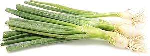 Green Onion (Scallions) Organic, 1 Bunch