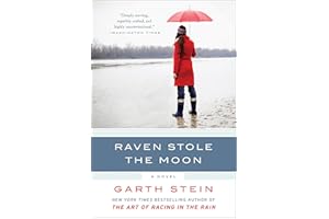 Raven Stole the Moon: A Novel