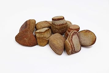 Aquagart I Decorative Stones Sandstone 200 Kg 30 50 Mm Large