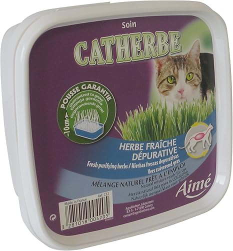 Aime Herbe A Chat Catherbe Meilleure Confort Disgestif Lot De 7 Amazon Fr Animalerie Aime Herbe A Chat Catherbe Meilleure Confort Disgestif Lot De 7 Amazon Fr Animalerie