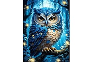 XACKCME Owl Diamond Painting Kits for Adults-Owls Diamond Art Kits for Adults,Round 5D Animal Gem Art Kits for Adult DIY Crafts Kits Gift Home Wall Decor Gifts(16x12inch)