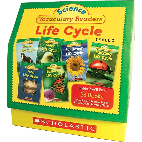 【新品未使用】science vocabulary readers30冊 science vocabulary readers30冊