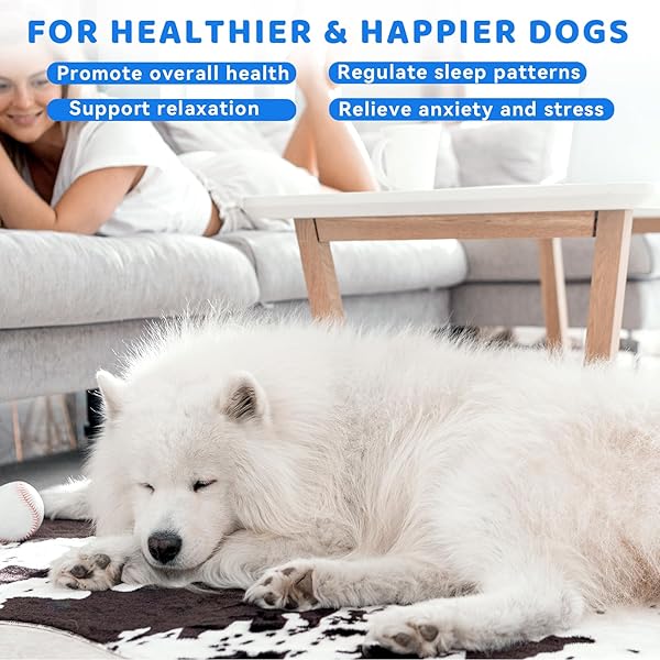 KURNISO MELATONIN FOR DOGS-DOG ANXIETY RELIEF, DOG ESSENTIALS FOR RELAX, SLEEP & STRESS REDUCE, PROMOTES OVERALL HEALTH LIQUID MELATONIN, POWERFUL DOG SLEEP AID, 60ML