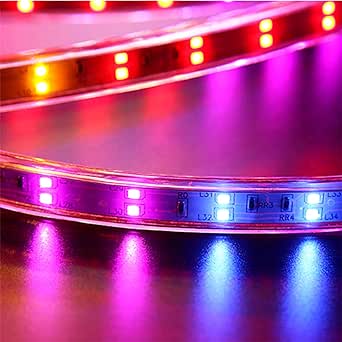 Tira LED, Manguera Plana de 10 Metros con 480 Luces LED Blanca de Alto ...