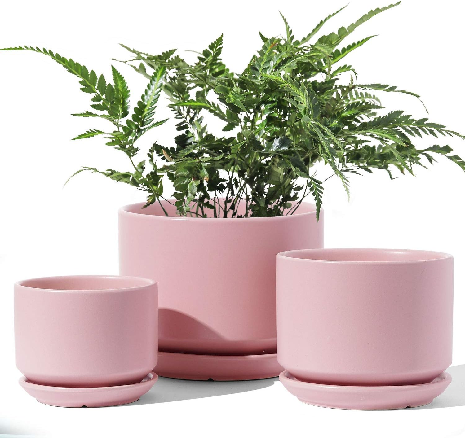 Amazon Com Le Tauci 4 5 5 3 6 5 Plant Pots With Drainage Holes And Saucers Ceramic Flower Pots For Indoor Plants Outdoor Planters With Tray For Snake Plant Set Of 3 Pink