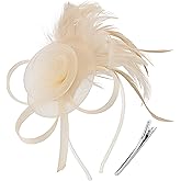 DRESHOW Fascinators Hats for Women Tea Party Fascinator Hats Vintage 50s Headwear Cocktail Wedding Church Derby Hat