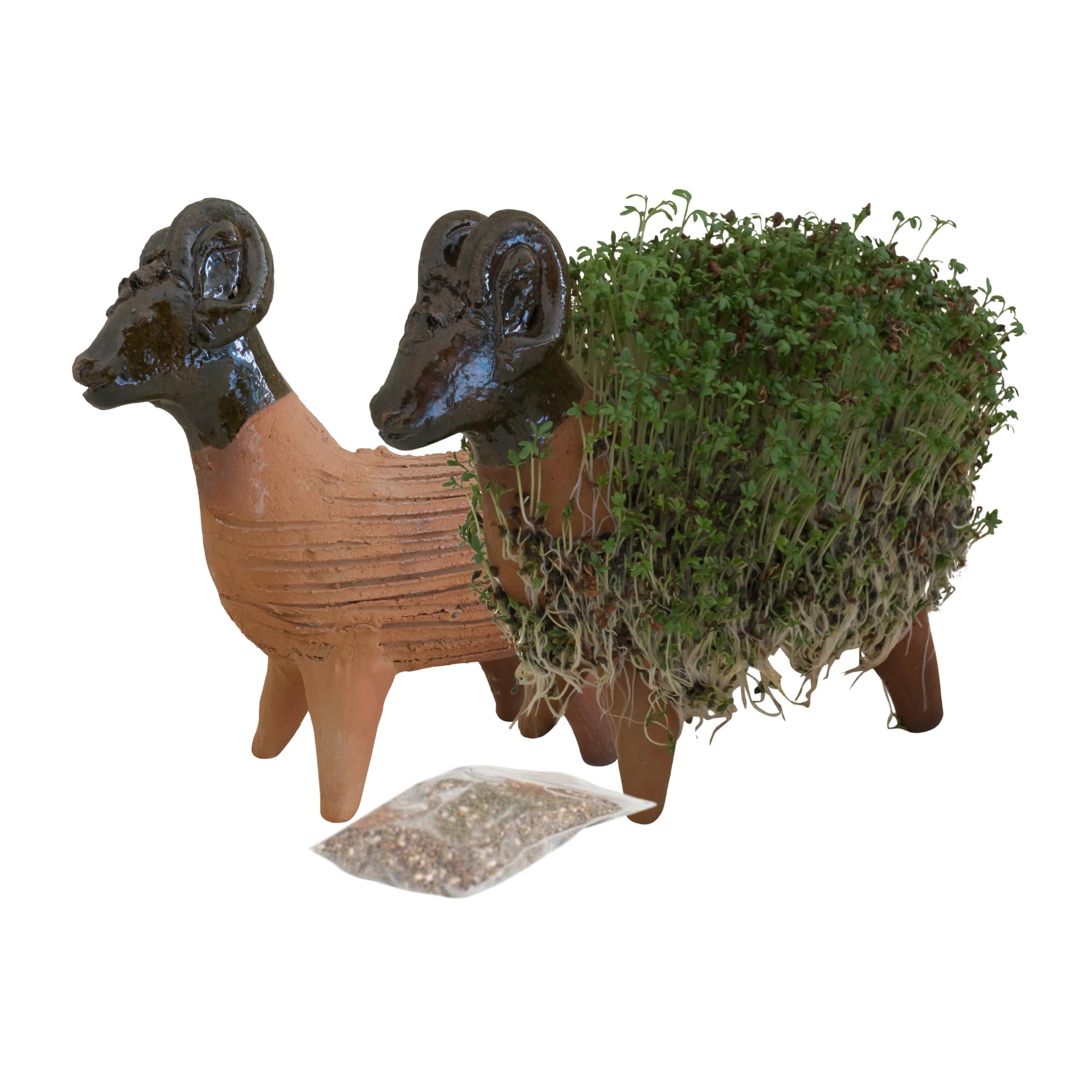 Tumia LAC Grow Your Own Kits, Sheep Cress Ceramic Figure, Gifts for Women and Men, Garden Ornament, Figure Height 18 cm Including Seeds