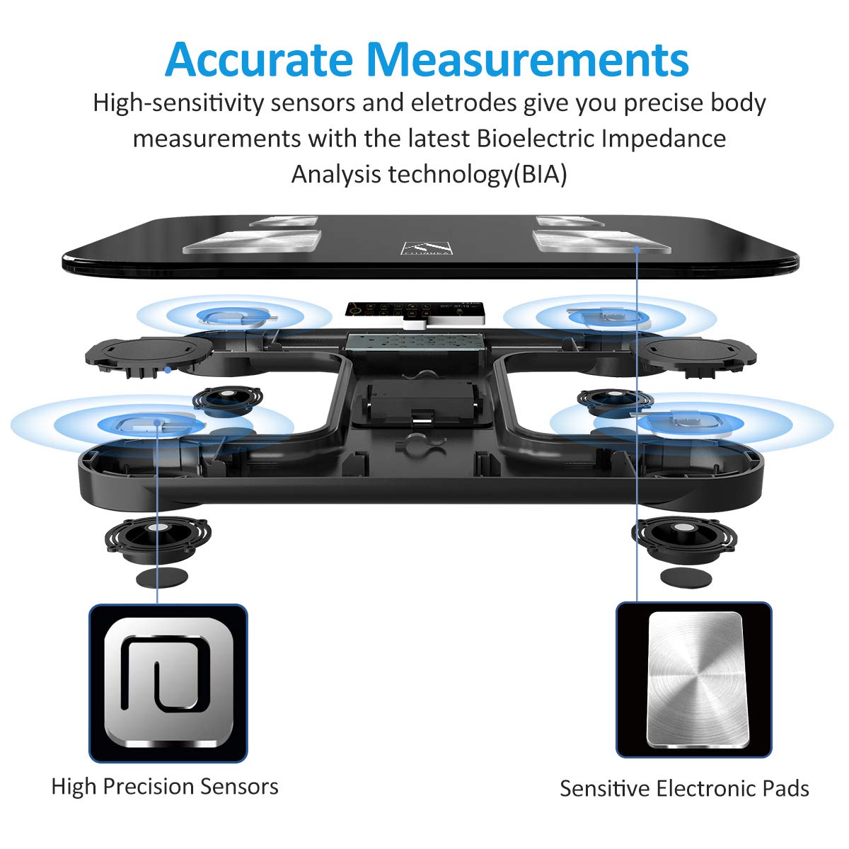 FITINDEX Scale with BMI, Body Fat, Muscle Mass, Smart Scale for Body Weight, Bluetooth, Digital, Sync with App, User Health Equipment
