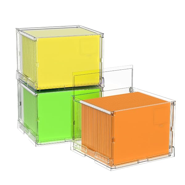 NOOING FILE ORGANIZER BOX WITH LID, HANGING FILING...