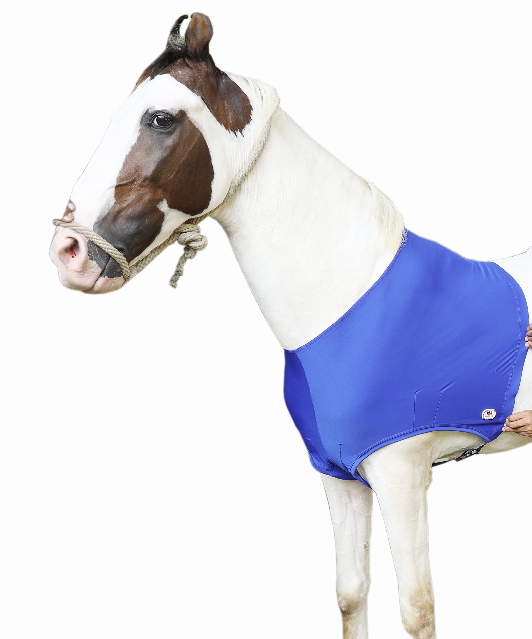 Majestic Ally Lycra Stretch Horse Shoulder Guard (Large, Royal Blue)