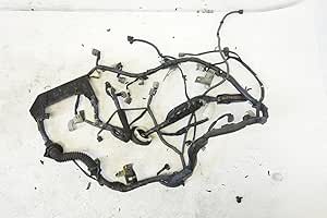 Amazon.com: 2003 2004 2005 Infiniti G35 Engine wire wiring harness