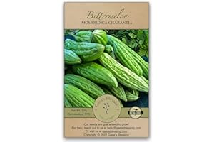 Gaea's Blessing Seeds - Bitter Melon Seeds - Bitter Gourd Heirloom Non-GMO Bittermelon Seeds with Easy to Follow Planting Instructions - 92% Germination Rate (Pack of 1)