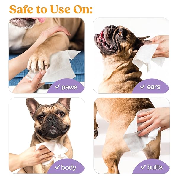 LAVENDER SCENT PREMIUM DOG & CAT PET WIPES CLEANS PET PAWS, EARS, FUR, BUTT, & ANAL GLAND WIPE NO-RINSE SOLUTION GENTLE DEODORIZING & HYPOALLERGENIC FOR SMALL/MEDIUM PETS – 100 COUNT