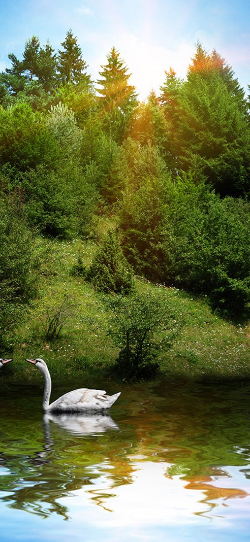 PeelitStickit, Beautiful Nature Wall Murals, ID-1204, vinyl