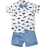 DOMOABEI Toddler Baby Boy Clothes Summer Shorts Sets Short Sleeve Dinosaurs Shirt Top + Shorts Set Outfits Set 12 Months-4T