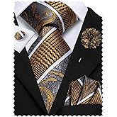 Hi-Tie Mens Paisley Floral Striped Ties Set Silk Necktie and Lapel Pin for Men Pocket Square Cufflinks Set Business Wedding