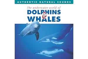 Dolphins and Whales