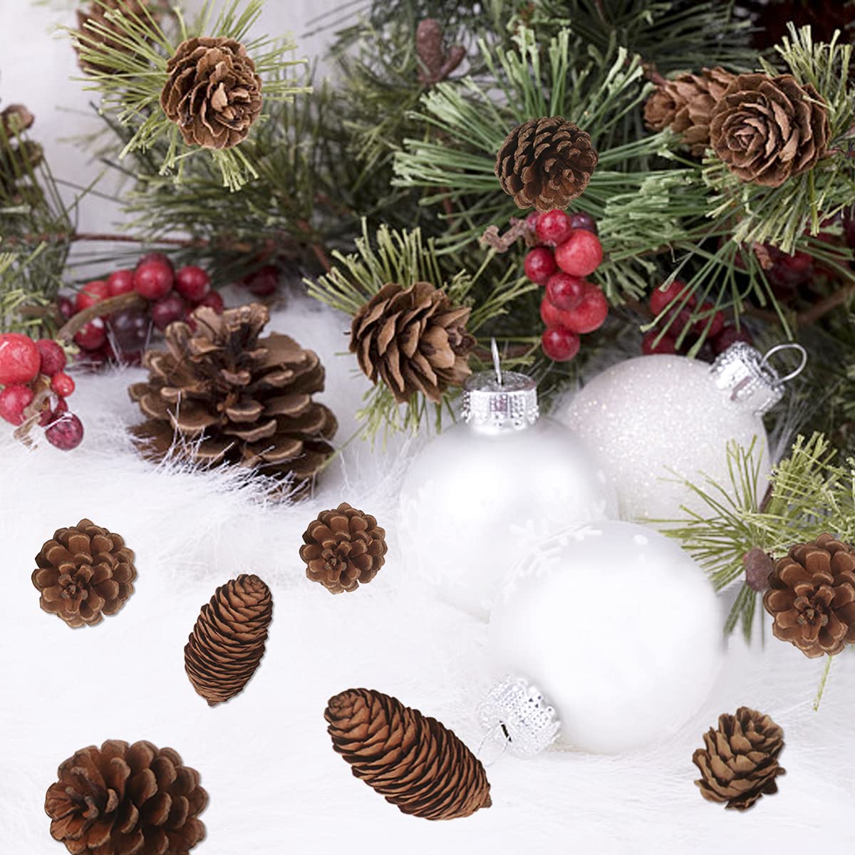Natural Pine Cones