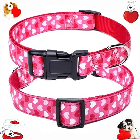 valentines day dog collars