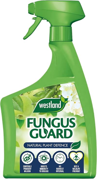 Westland Fungus Guard RTU 800ml Ready to Use Plant Fungicide