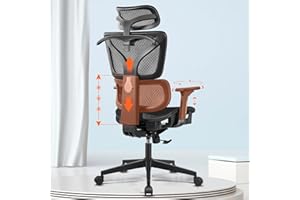 Razzor Ergonomic Office Desk Chair with Adjustable Lumbar Support, Computer Gaming Chair with 3D Arms and Headrest, Comfortable Swivel Chair with Sponge Seat Cushion High Back Executive Chairs Black