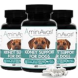 AminAvast Kidney Support Supplement for