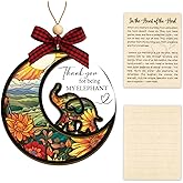 Elephant Ornament, Friendship Ornament with Story Card, Friendship Birthday Gifts for Women, Birthday Presents for Best Friends Sister, Sunset Meadow Elephant