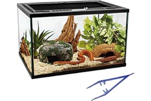 WAAZOOREP Reptile Glass Tank 16"x11"x9" Terrarium with Top Opening and Screen Ventilation for Leopard Gecko,Lizard,Hermit Crab,Snake,Spider,Frog,Bearded Dragon,Turtle with Feeding Tongs