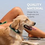 Black Rhino The Comfort Collar Ultra Soft Neoprene Padded Dog Collar Small view 4