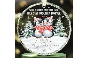 Couples Christmas Ornament - Couples Ornaments 2025 - Couple Ornaments for Him, Her, Boyfriend, Girlfriend, Husband, Wife - G