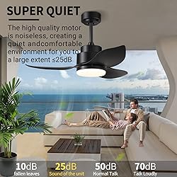 Modern Black Ceiling Fans with Lights Remote