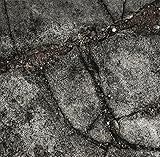 BROOD X                                            image