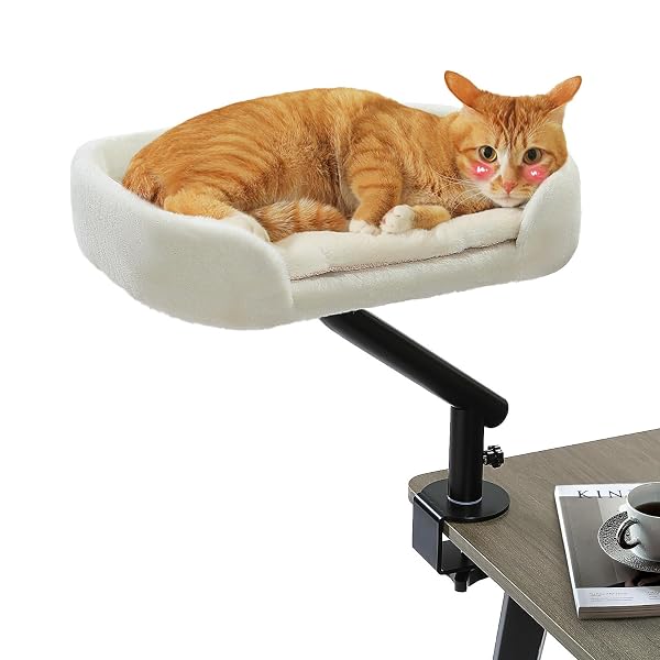 PAWZ ROAD CAT DESK BED FOR INDOOR CATS,...
