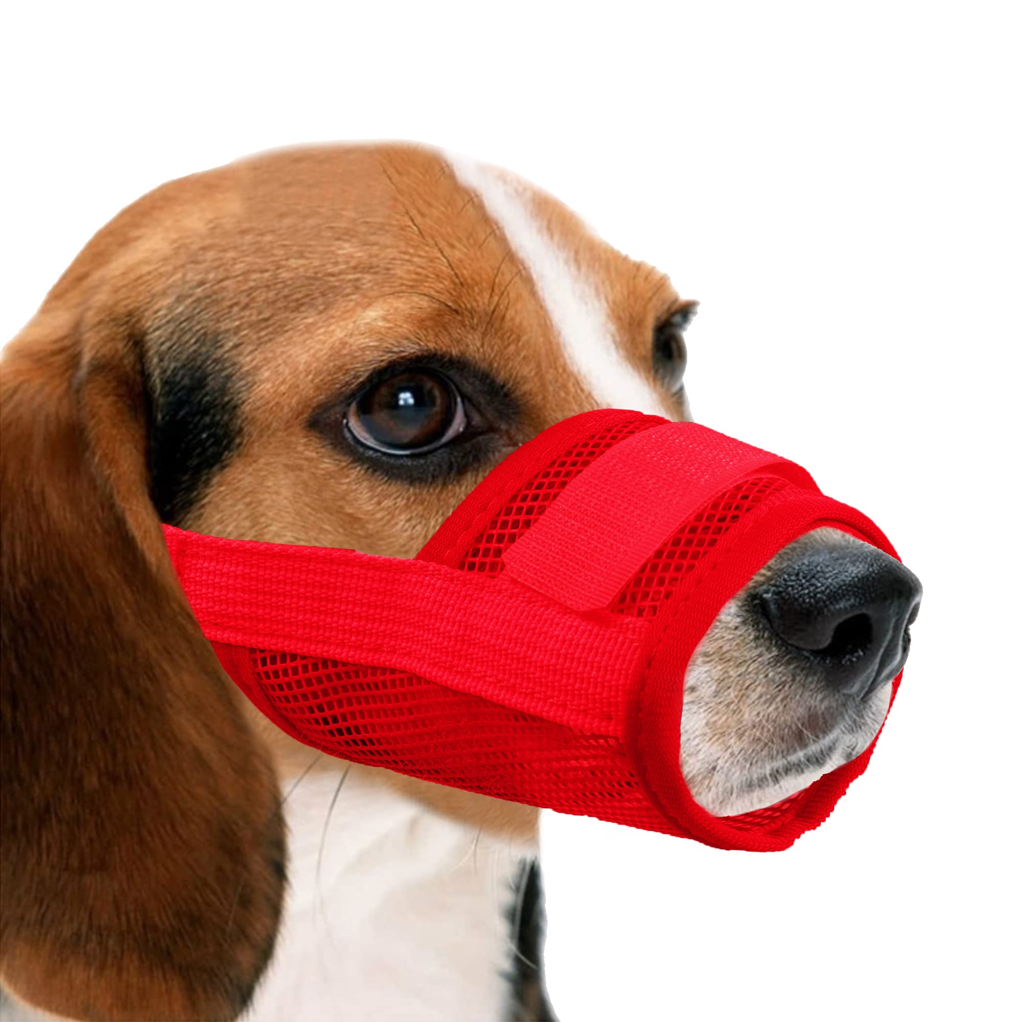 YAODHAOD Nylon Mesh Breathable Dog Mouth Cover, Quick Fit Dog Muzzle with Adjustable Straps，Pet Mouth Cover, to Prevent Biting and Screaming to Prevent Accidental Eating (M, red)