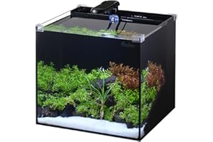 PONDON 5 Gallon Fish Tank, Low Iron Rimless Glass Aquarium Starter Kits with Backpack Partitioned Filtration, No Installation Required Betta Fish Tank with Leveling Mat for Beginners and Enthusiasts