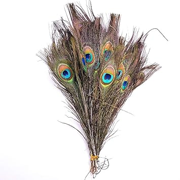 Beito 10pcs Set 11 8 Inch Big Natural Peacock Tail Eye Feathers