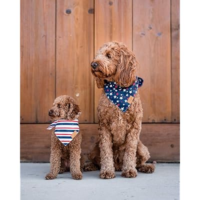 Remy and roo dog bandanas Clearance