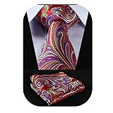 HISDERN Red Ties for Men Paisley Tie and Pocket