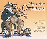 Meet the Orchestra