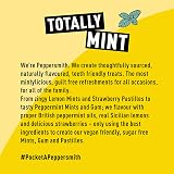 Peppersmith Sicilian Lemon Mints 12x15g Sugar Free Xylitol Vegan view 7
