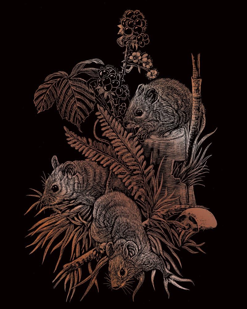 Royal & Langnickel Copper Engraving Art A4 Size Field Mice Designed Painting Set, Multi-colored - Image 3