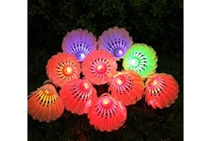 Inngree LED Badminton, [10 Pack] Colourful Shuttlecock Dark Night Goose Feather Glow Birdies Lighting Outdoor Indoor Sport Activities(10PCS)