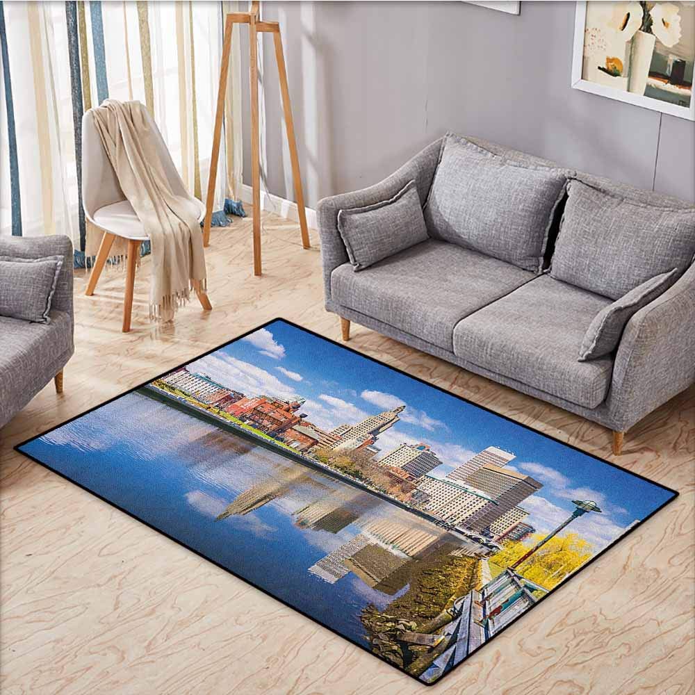 Best multi color fuzzy rugs for living room