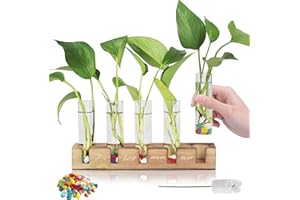Renmxj Plant Terrarium Gifts for Mom - Birthday Gifts for Mom - Plant Propagation Station Home Garden Office Decoration