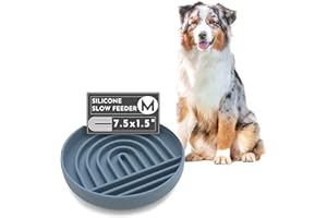 Should We Go? - The Slowdown Bowl Silicone Slow Feeder for Dogs & Puppies, Slow Eating, Modern Lick Mat Design, Reduces Gulping, Fits 2 Cups 7.5” Across x 1.5” Tall, Mealtime Challenge, Medium-Ocean