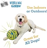 Wobble Wag Giggle Allstar Innovations Ball Dog Toy - Interactive No Batteries view 7